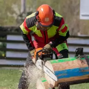 Chainsaw, Forestry And Arb PPE